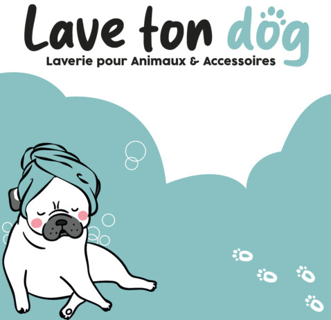 Station lavage canin libre service argeles sur mer 